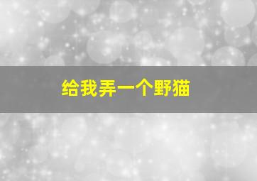 给我弄一个野猫