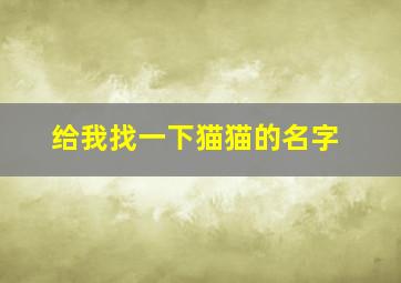 给我找一下猫猫的名字