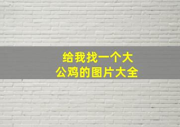 给我找一个大公鸡的图片大全