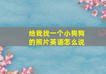 给我找一个小狗狗的照片英语怎么说