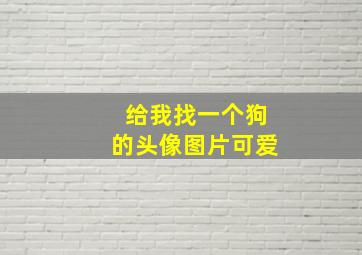 给我找一个狗的头像图片可爱