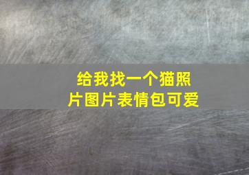 给我找一个猫照片图片表情包可爱