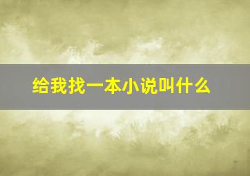 给我找一本小说叫什么