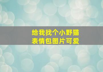 给我找个小野猫表情包图片可爱