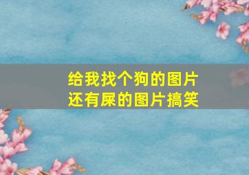 给我找个狗的图片还有屎的图片搞笑