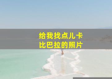 给我找点儿卡比巴拉的照片