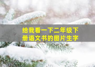 给我看一下二年级下册语文书的图片生字