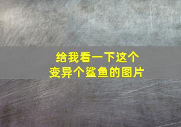 给我看一下这个变异个鲨鱼的图片