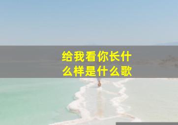 给我看你长什么样是什么歌