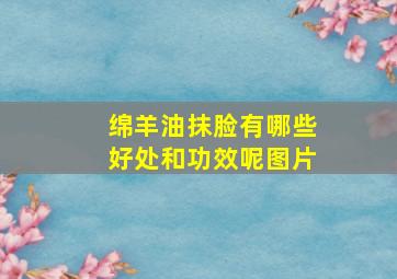 绵羊油抹脸有哪些好处和功效呢图片