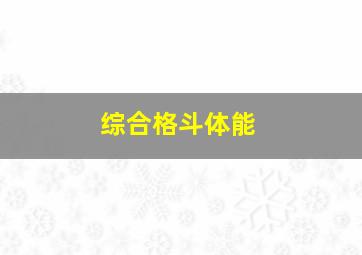 综合格斗体能