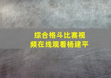 综合格斗比赛视频在线观看杨建平