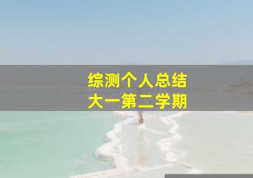 综测个人总结大一第二学期