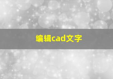 编辑cad文字