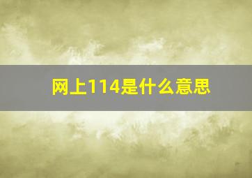 网上114是什么意思