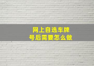 网上自选车牌号后需要怎么做