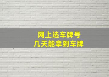 网上选车牌号几天能拿到车牌