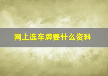 网上选车牌要什么资料