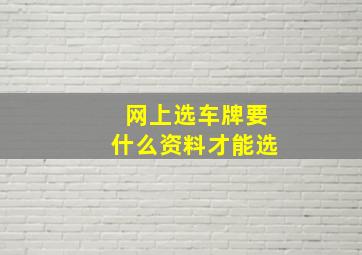 网上选车牌要什么资料才能选