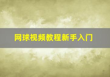 网球视频教程新手入门