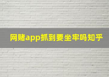 网赌app抓到要坐牢吗知乎