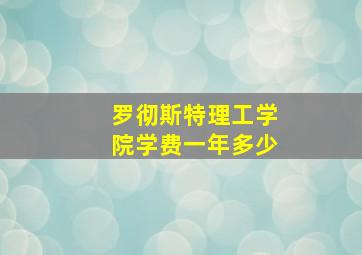 罗彻斯特理工学院学费一年多少