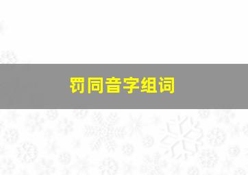 罚同音字组词