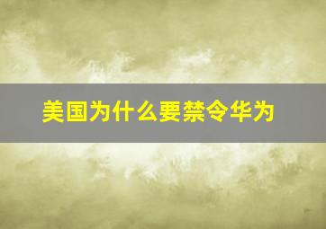 美国为什么要禁令华为