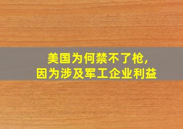 美国为何禁不了枪,因为涉及军工企业利益