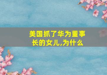 美国抓了华为董事长的女儿,为什么