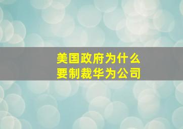 美国政府为什么要制裁华为公司