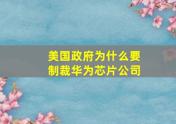 美国政府为什么要制裁华为芯片公司