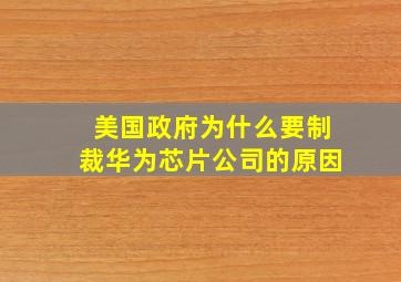 美国政府为什么要制裁华为芯片公司的原因