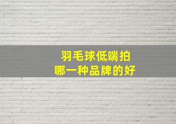 羽毛球低端拍哪一种品牌的好