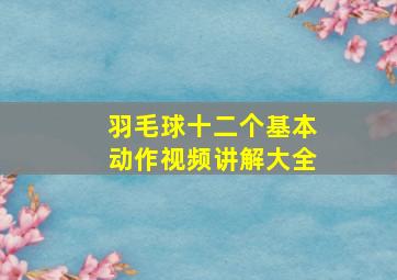 羽毛球十二个基本动作视频讲解大全