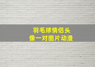 羽毛球情侣头像一对图片动漫