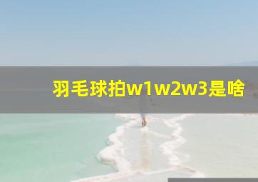 羽毛球拍w1w2w3是啥