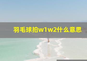 羽毛球拍w1w2什么意思