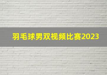 羽毛球男双视频比赛2023