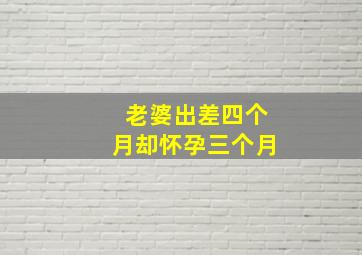 老婆出差四个月却怀孕三个月