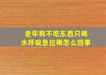 老年狗不吃东西只喝水呼吸急拉稀怎么回事