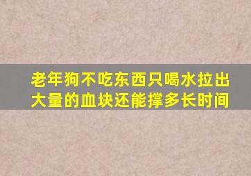 老年狗不吃东西只喝水拉出大量的血块还能撑多长时间