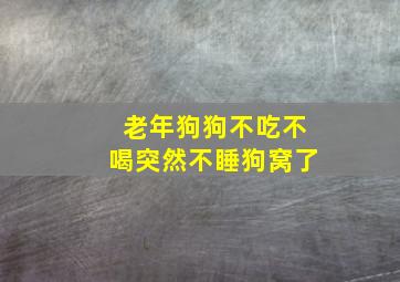 老年狗狗不吃不喝突然不睡狗窝了