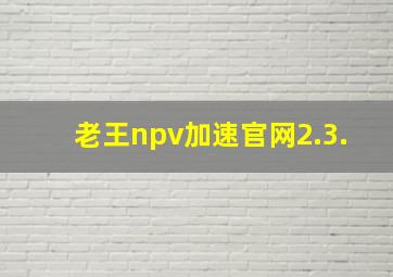 老王npv加速官网2.3.