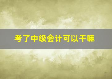 考了中级会计可以干嘛