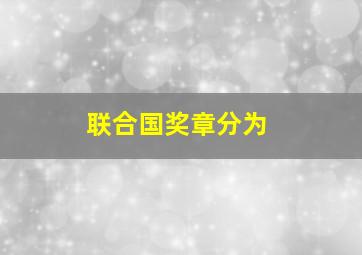 联合国奖章分为