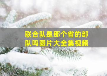 联合队是那个省的部队吗图片大全集视频