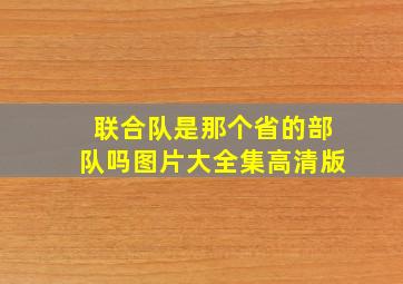 联合队是那个省的部队吗图片大全集高清版