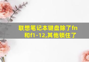 联想笔记本键盘除了fn和f1-12,其他锁住了