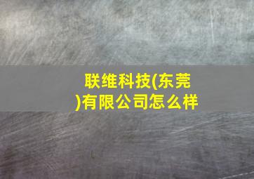 联维科技(东莞)有限公司怎么样